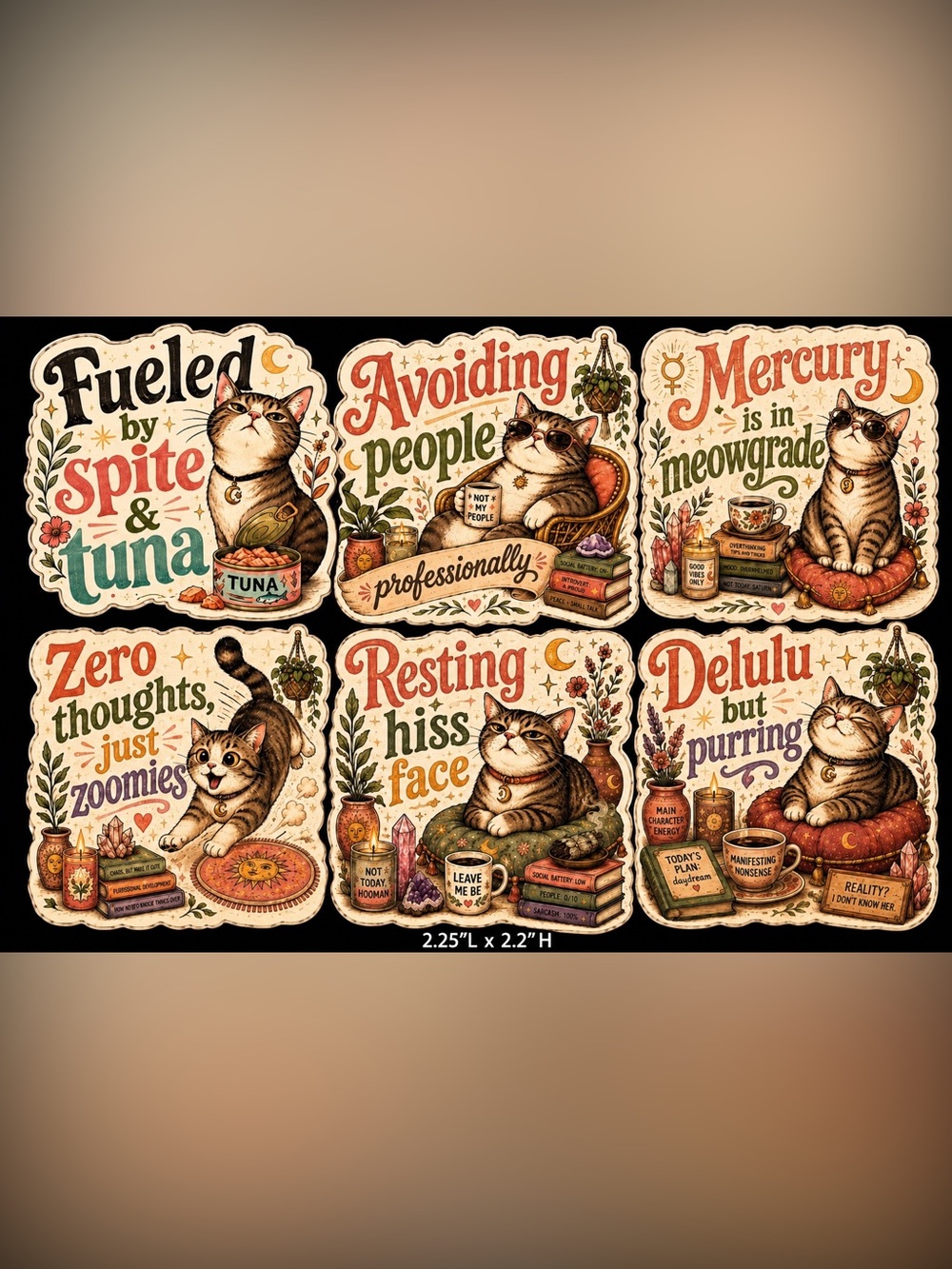 36 Count Handmade Cat Holographic Stickers